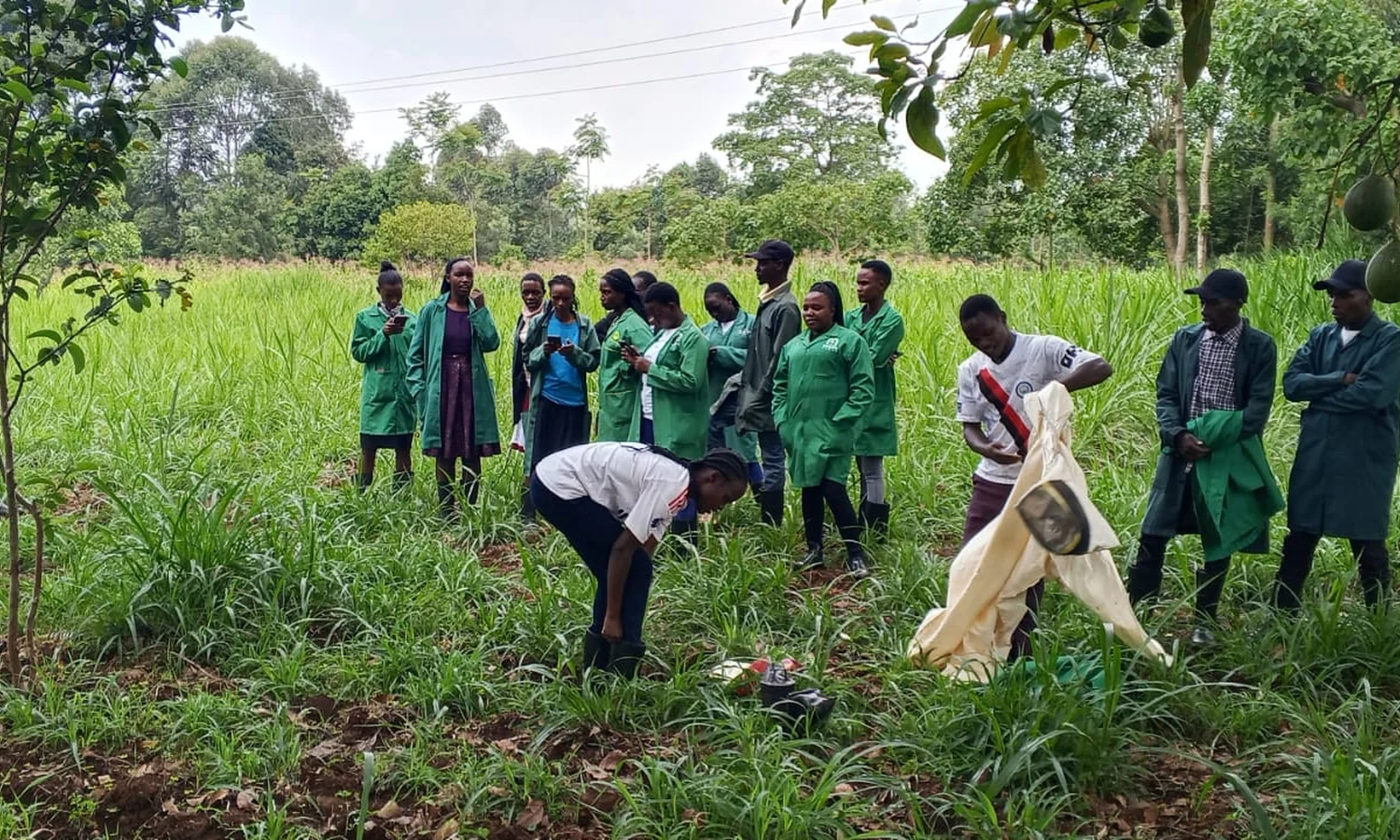 Agriculture & Environmental Studies practical image 1